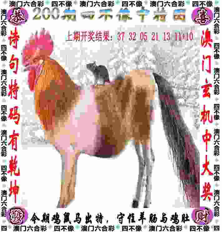 >新门内部资料免费更新